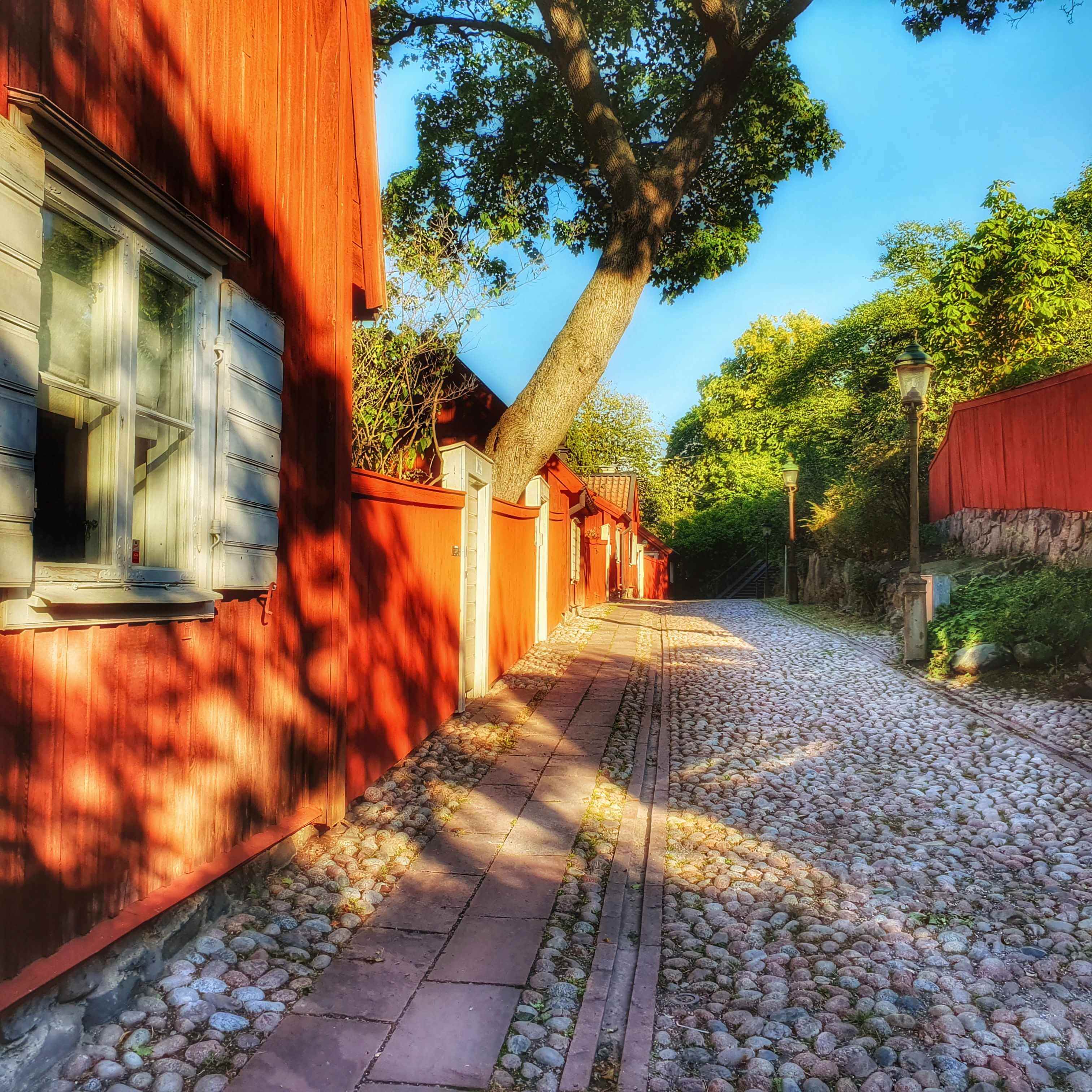 Gallery media #1
